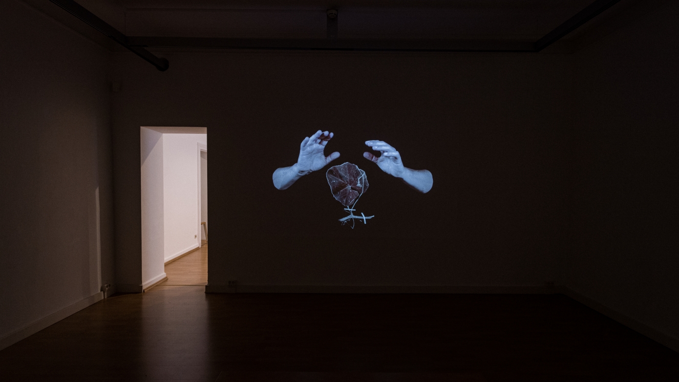 Justine Blau (LU) & John Herman (DE)