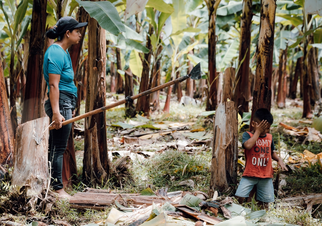 LES MAUX DE NOTRE ALIMENTATION
