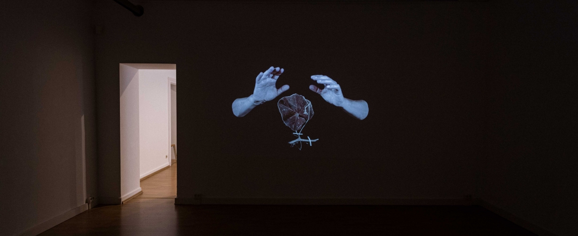 La Squatfabrik est de retour en mai 2023