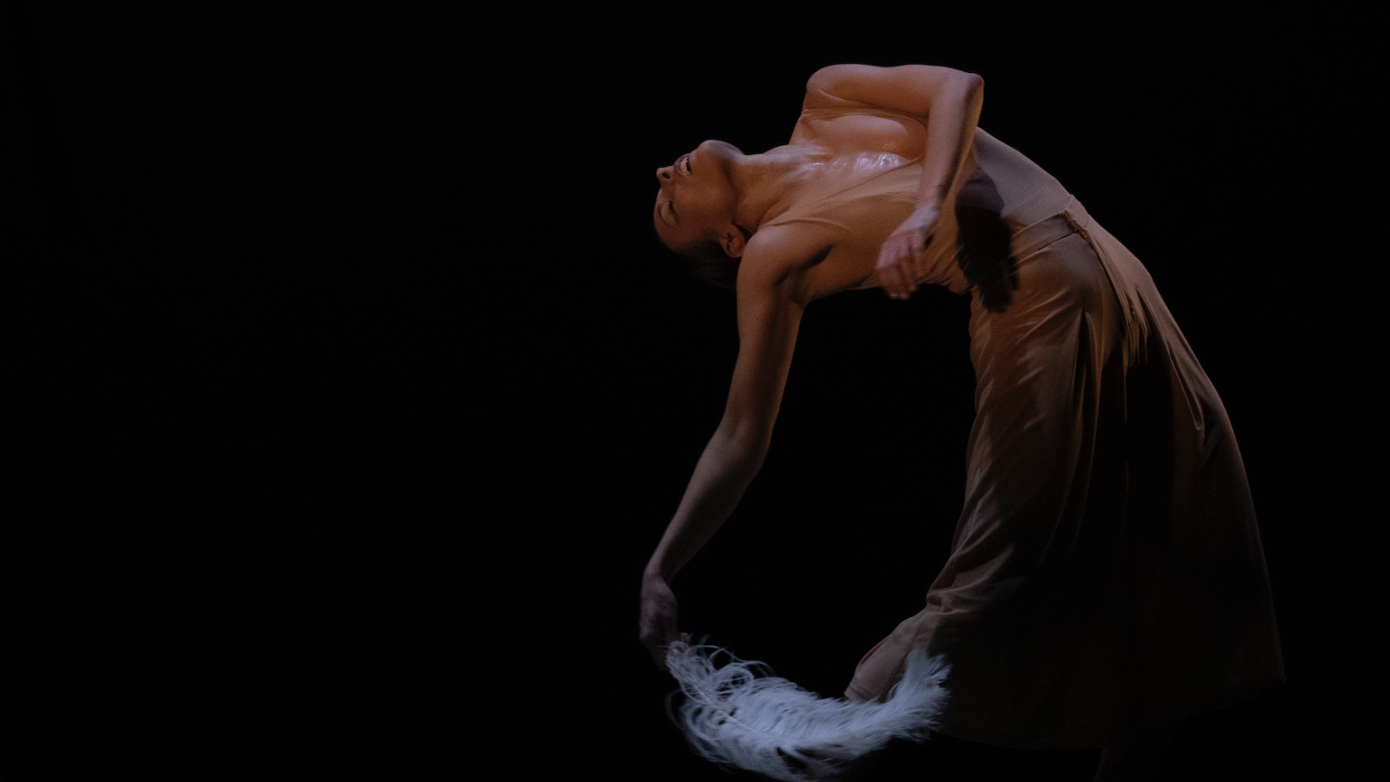 « La Bailarina Salvaje » de Lucía Ruibal