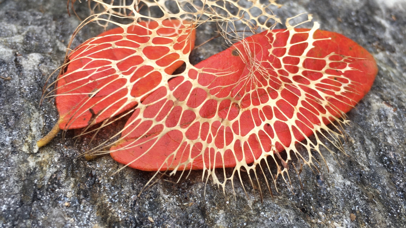 Les petits garçons aux allumettes ?