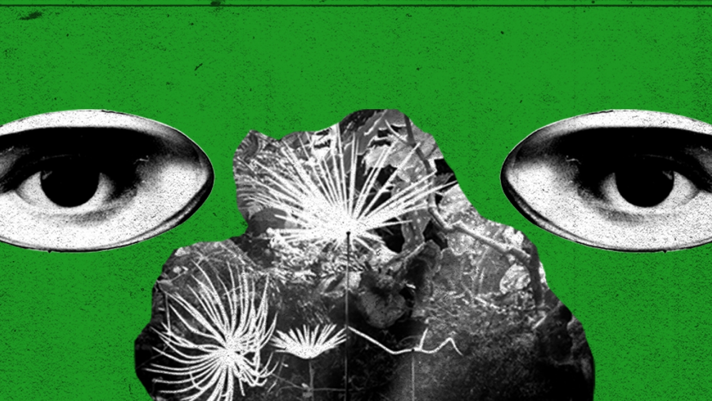 Projection de "Dandelion's Odyssey"