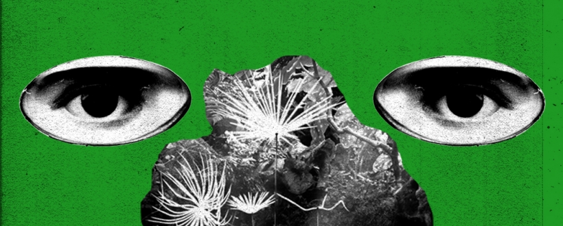 Projection de "Dandelion's Odyssey"