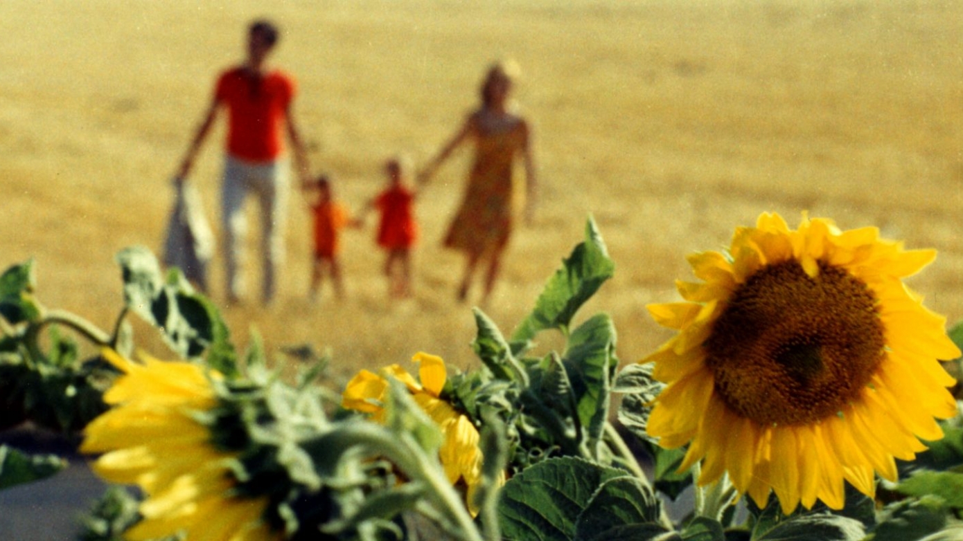Sortie de résidence de Laure Roldàn