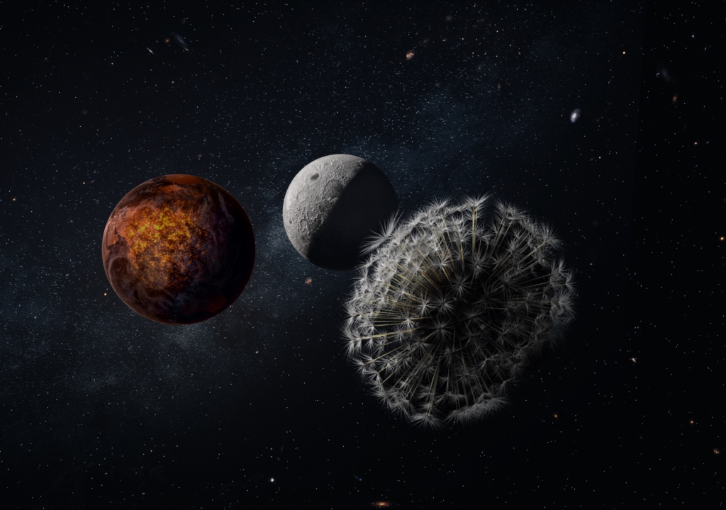 Projection de "Dandelion's Odyssey"