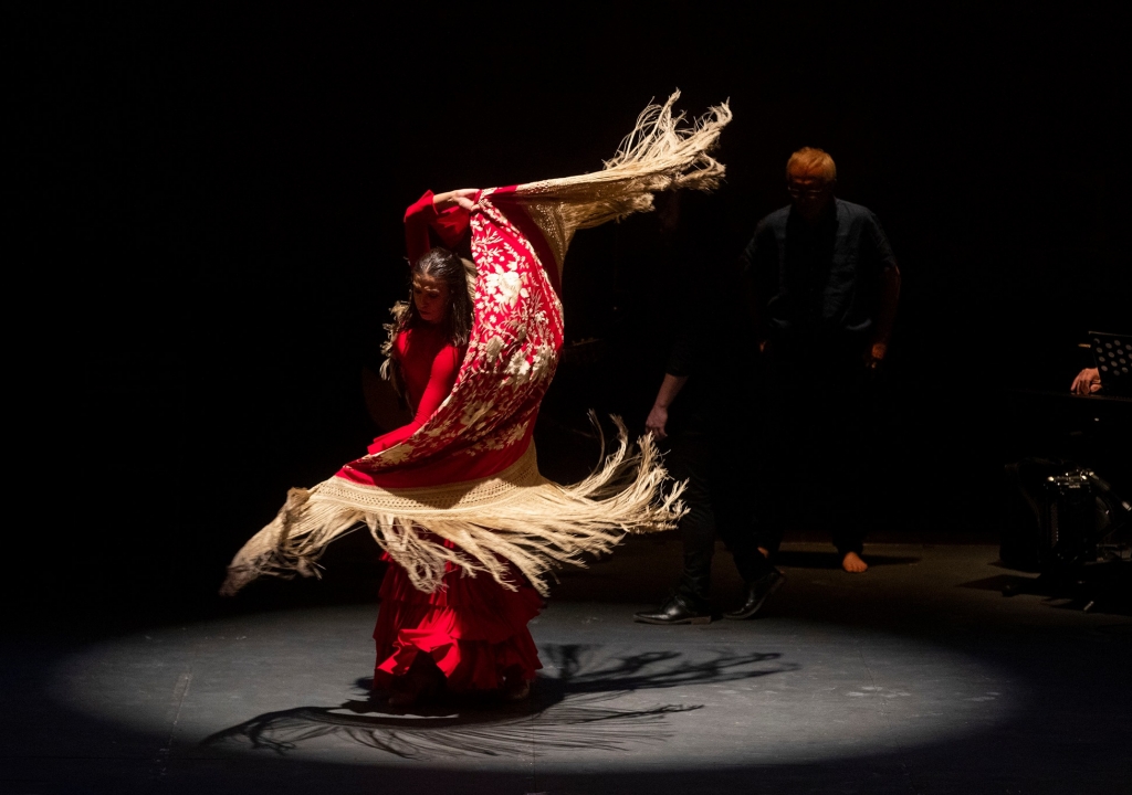 « Burdina / Hierro »  - Adriana Bilbao