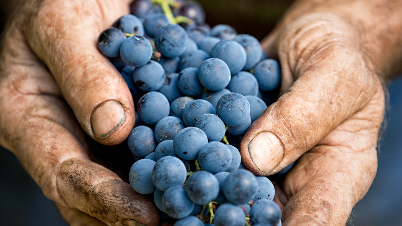 Wine tasting & DJ set